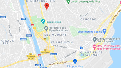 Location de véhicules à Nice Nikaïa